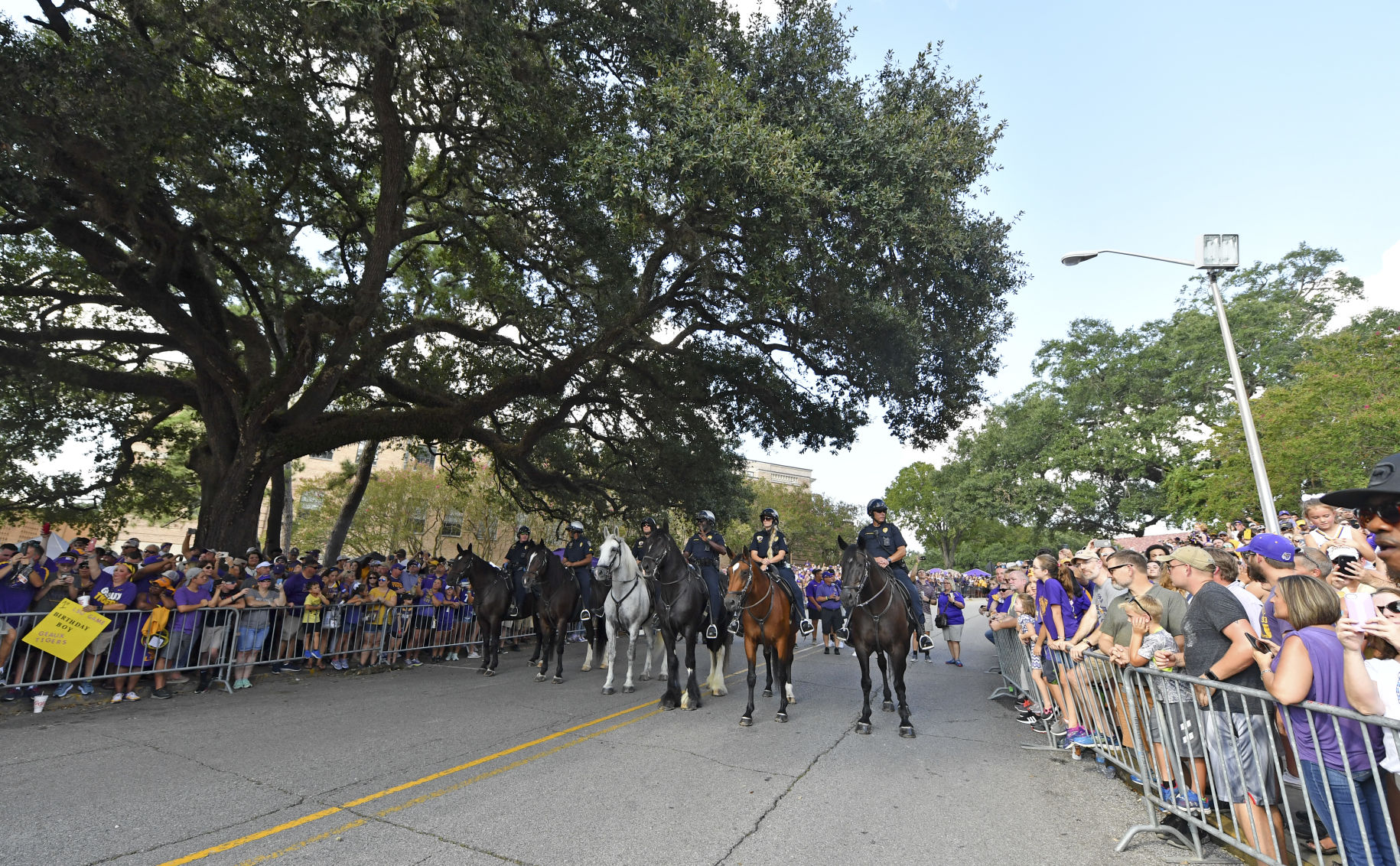 BR.brpdhorses.adv HS 046.JPG